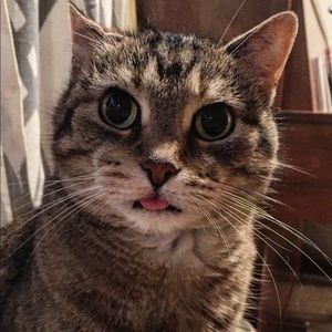 Meet your Posher, Jason